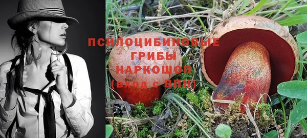 сатива Абинск