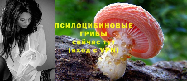 прущая мука Переславль-Залесский