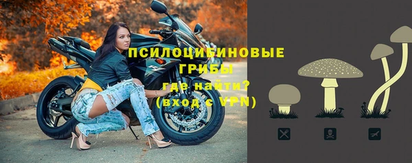 сатива Абинск
